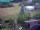 Webcam in Vechelde, 11.8 mi away