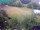 Webcam in Vechelde, 8.6 mi away