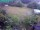 Webcam in Vechelde, 10.7 mi away