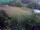 Webcam in Vechelde, 13.5 mi away