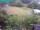 Webcam in Vechelde, 30.3 km
