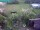 Webcam in Vechelde, 34.3 km
