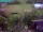 Webcam in Vechelde, 4.5 mi away