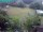 Webcam in Vechelde, 34.3 km