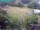 Webcam in Vechelde, 34 km