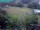 Webcam in Vechelde, 34 km