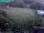 Webcam in Vechelde, 23.5 km