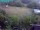 Webcam in Vechelde, 22.3 km entfernt