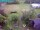 Webcam in Vechelde, 17.1 mi away