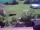 Webcam in Vechelde, 10.7 mi away