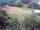 Webcam in Vechelde, 15.6 km