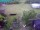 Webcam in Vechelde, 10.9 mi away