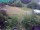 Webcam in Vechelde, 11.6 km