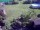 Webcam in Vechelde, 4.6 mi away