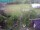 Webcam in Vechelde, 28.3 km