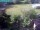 Webcam in Vechelde, 3.1 mi away