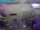 Webcam in Vechelde, 13.2 mi away