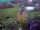 Webcam in Vechelde, 11.6 mi away