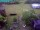 Webcam in Vechelde, 10.9 km