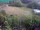 Webcam in Vechelde, 10.7 mi away