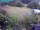 Webcam in Vechelde, 30.8 km entfernt