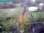 Webcam in Vechelde, 4.6 mi away