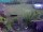 Webcam in Vechelde, 13.2 mi away