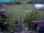 Webcam in Vechelde, 11.7 mi away