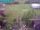 Webcam in Vechelde, 44.2 km entfernt