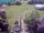 Webcam in Vechelde, 11.7 mi away