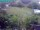 Webcam in Vechelde, 10.9 mi away