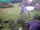 Webcam in Vechelde, 45 km