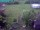 Webcam in Vechelde, 11.7 mi away