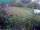 Webcam in Vechelde, 30.8 km