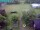 Webcam in Vechelde, 11.7 mi away