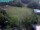 Webcam in Vechelde, 30.3 km