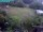 Webcam in Vechelde, 17.1 mi away