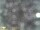Webcam in Feltre, 12.5 km entfernt