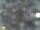 Webcam in Feltre, 4.8 mi away