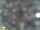 Webcam in Feltre, 5.8 mi away