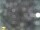 Webcam in Feltre, 18.2 mi away