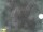 Webcam in Feltre, 31.8 km