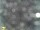 Webcam in Feltre, 18.4 mi away