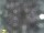 Webcam in Feltre, 18.2 mi away