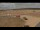 Webcam in Waltham Saint Lawrence, 35.2 km