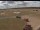 Webcam in Waltham Saint Lawrence, 49.3 km