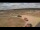 Webcam in Waltham Saint Lawrence, 17.6 mi away