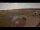 Webcam in Waltham Saint Lawrence, 47.7 km