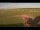 Webcam in Waltham Saint Lawrence, 50 km