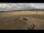 Webcam in Waltham Saint Lawrence, 17.3 mi away